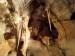 7 Javoříčské jeskyně 11
