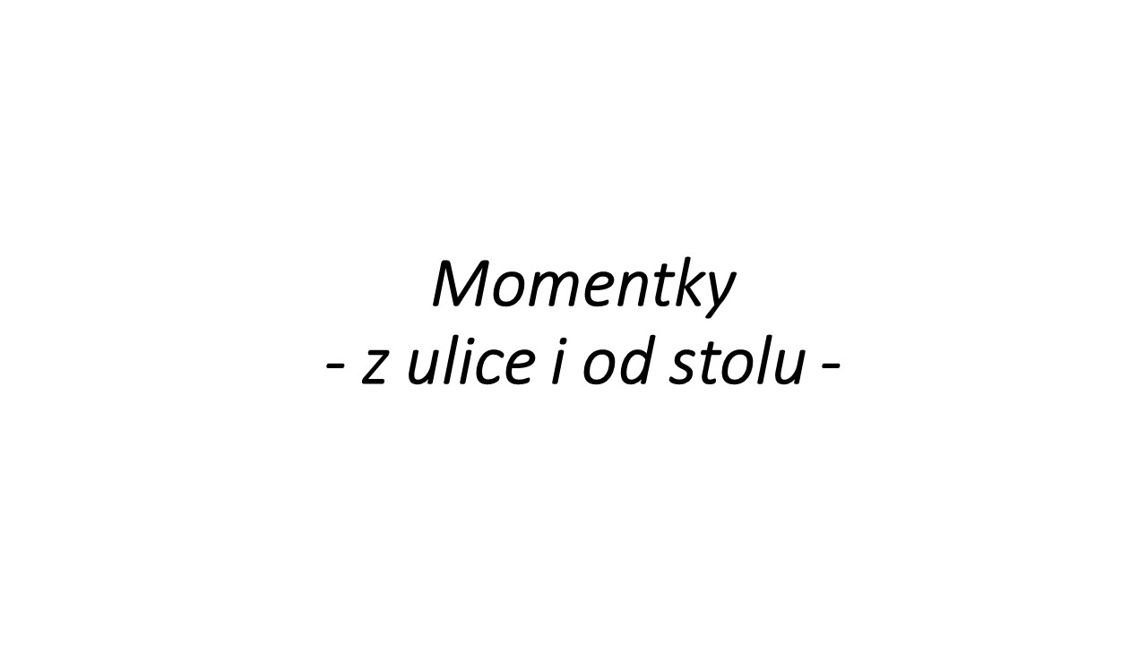 Snímek8