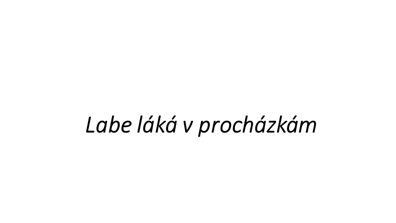 Snímek9