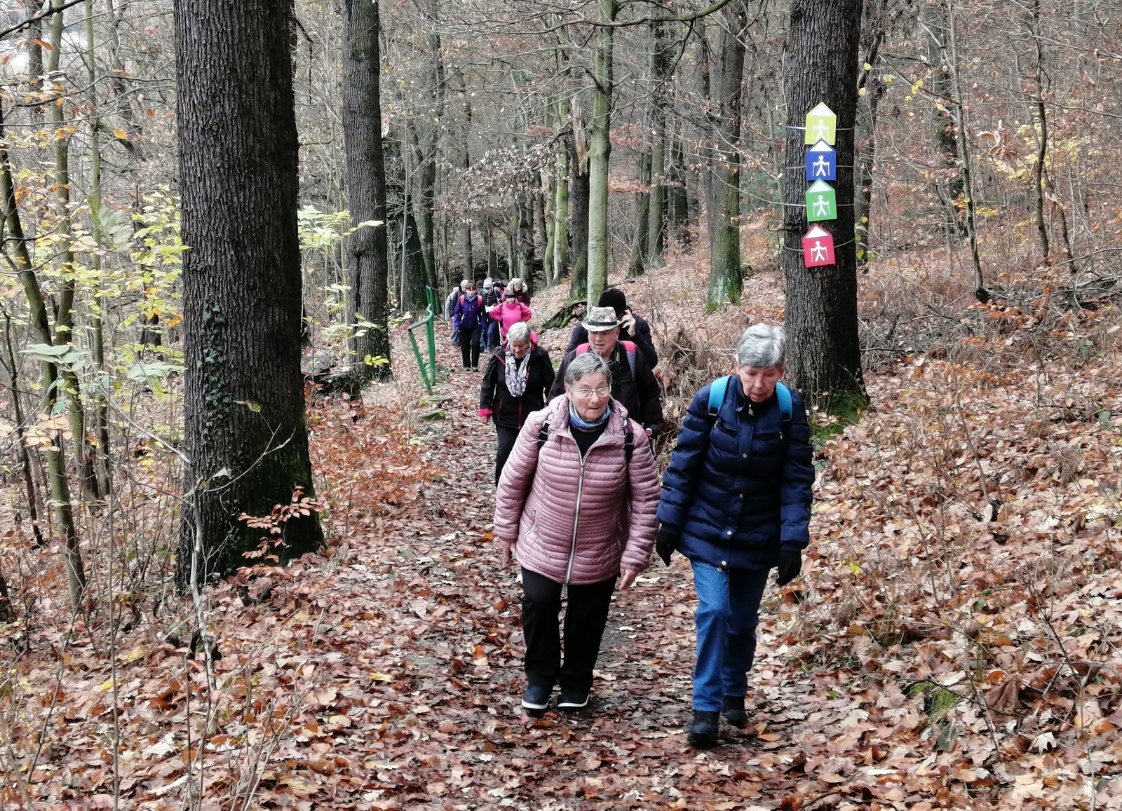 4 Děčín Pastýřská stěna 07