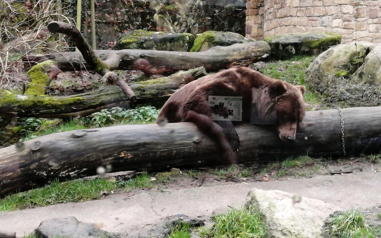 5 Děčín v ZOO