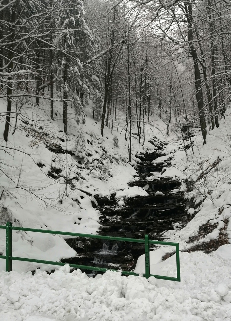 2 na Prašivou 09