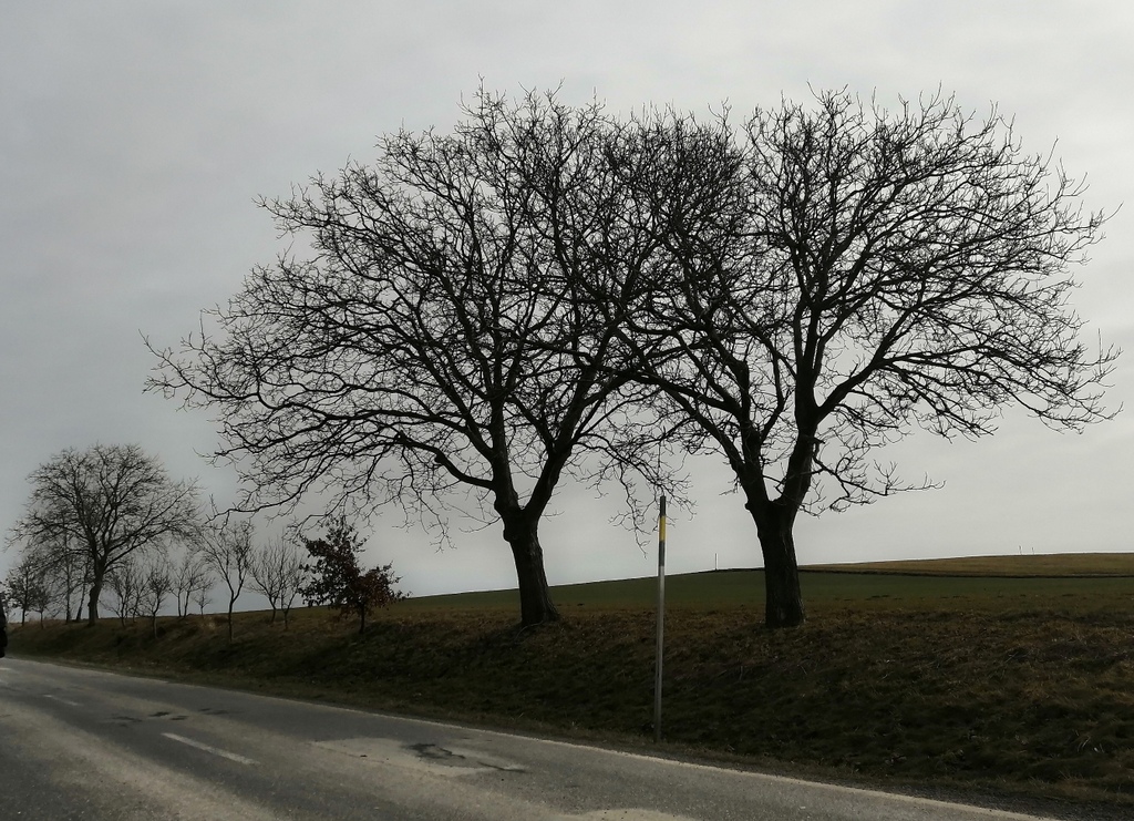 4 Hubleska 01