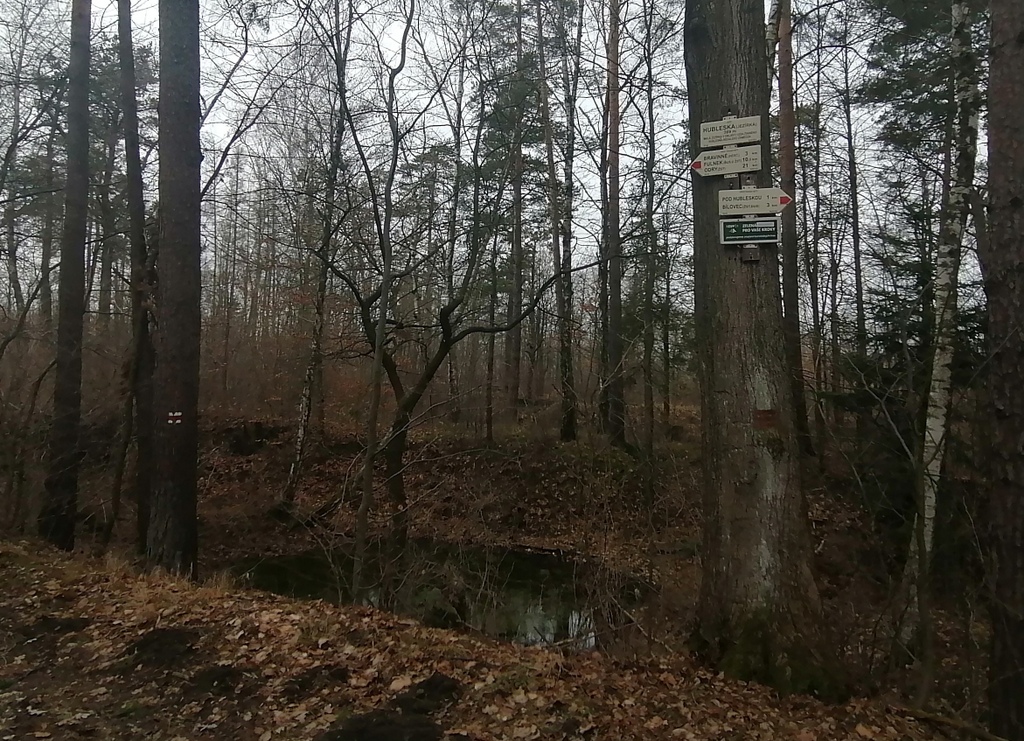 4 Hubleska 04