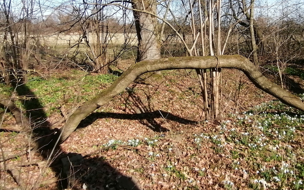 6 CHKO Poodří 03