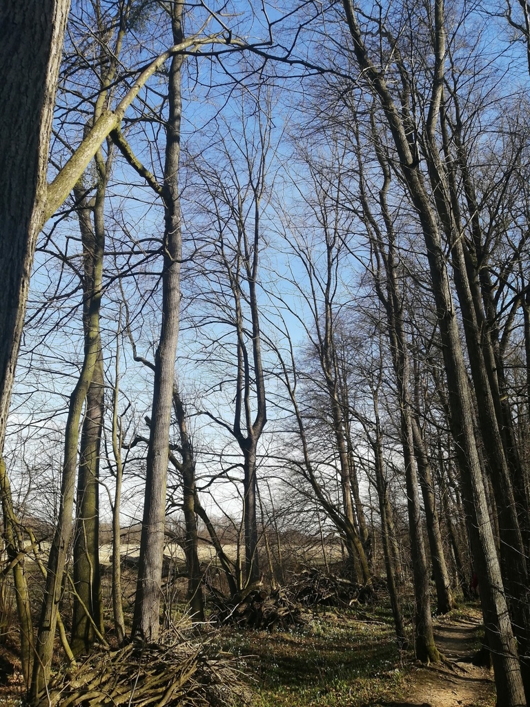 6 CHKO Poodří 04