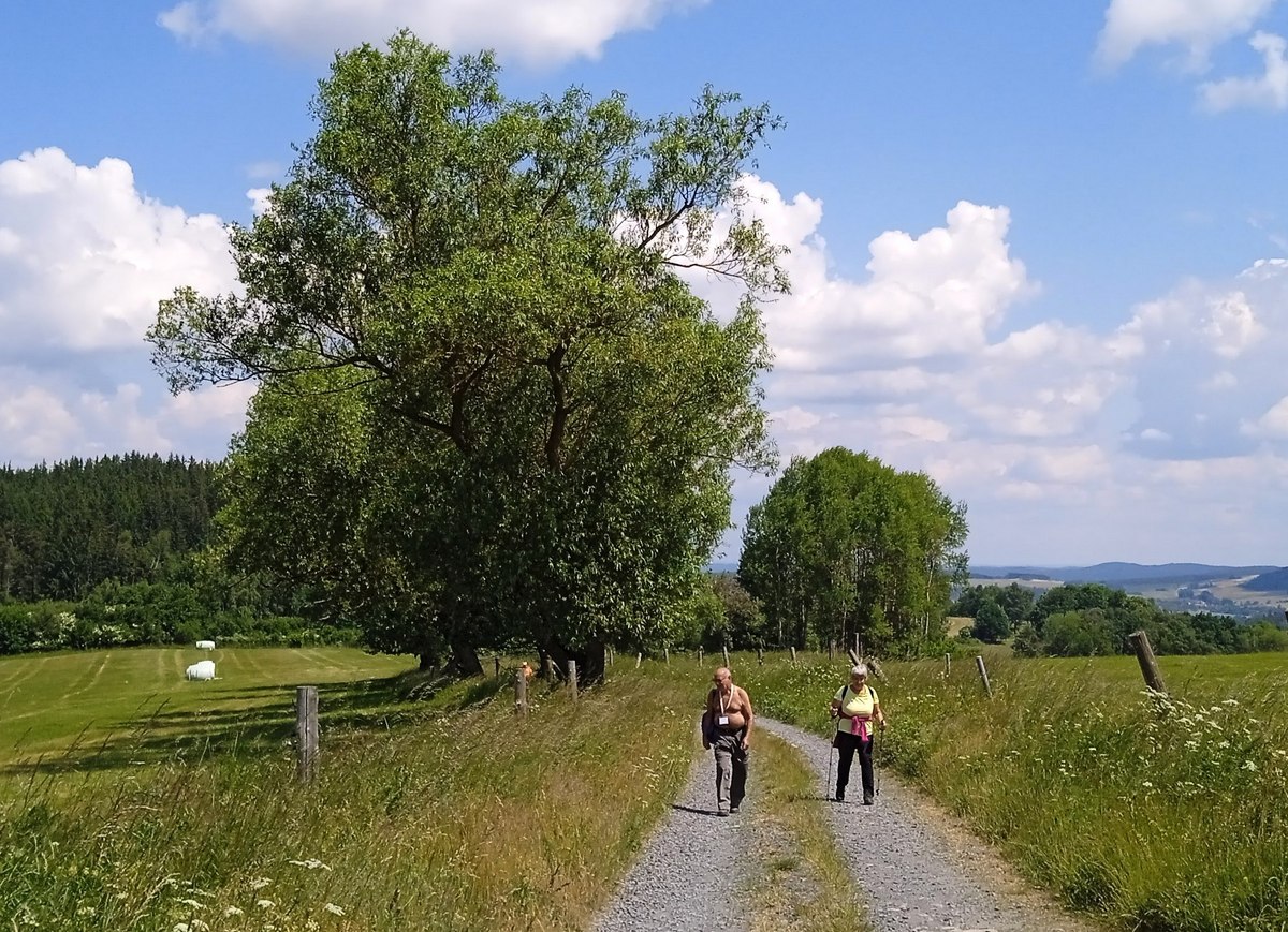 3 Liščí údolí.01