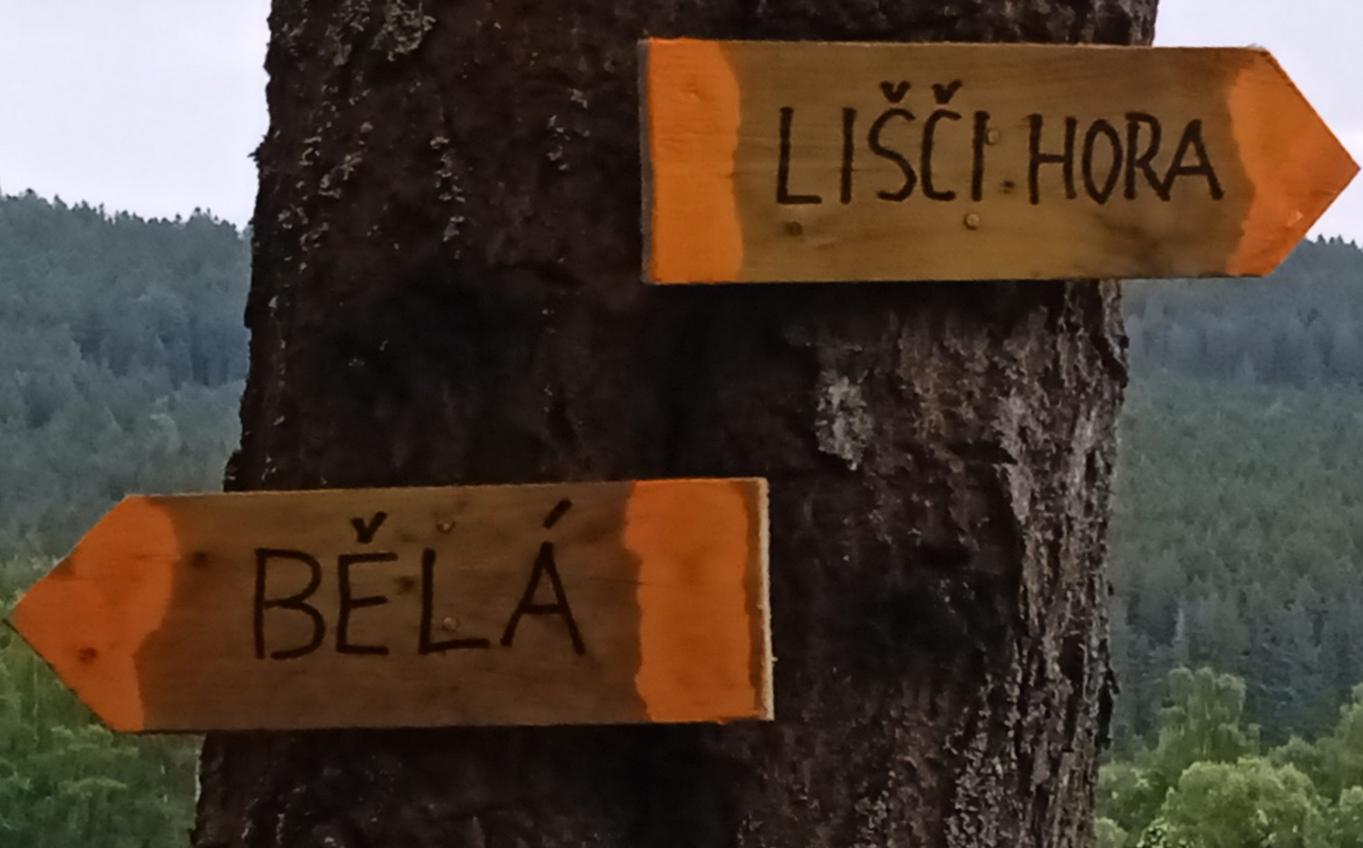 3 Liščí údolí.05