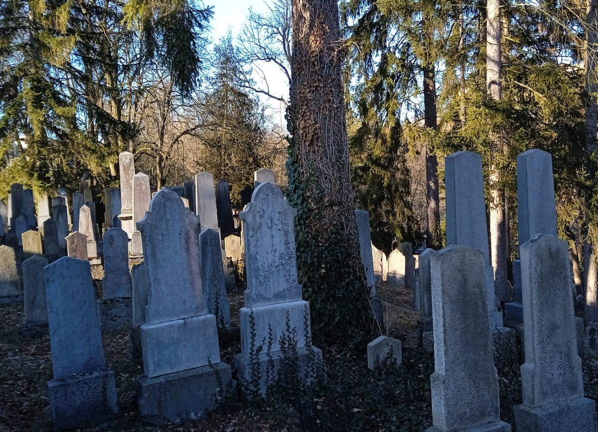 7 hřbitov 05