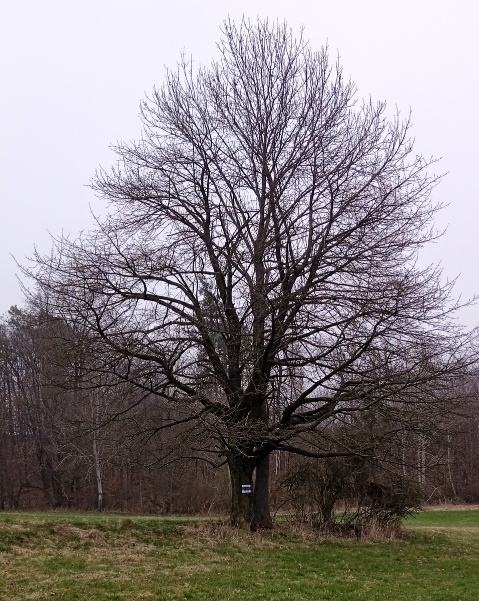 3 Stachovice z trasy 08