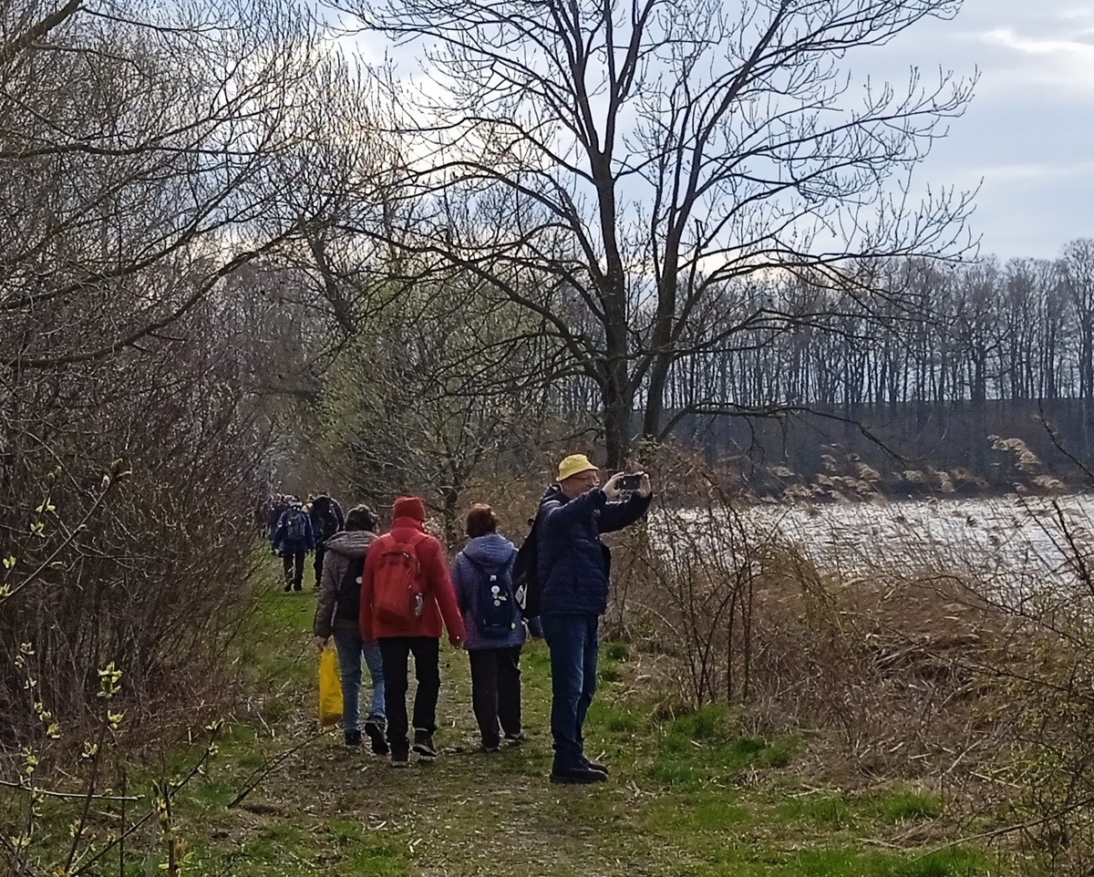 4 rybník2 01