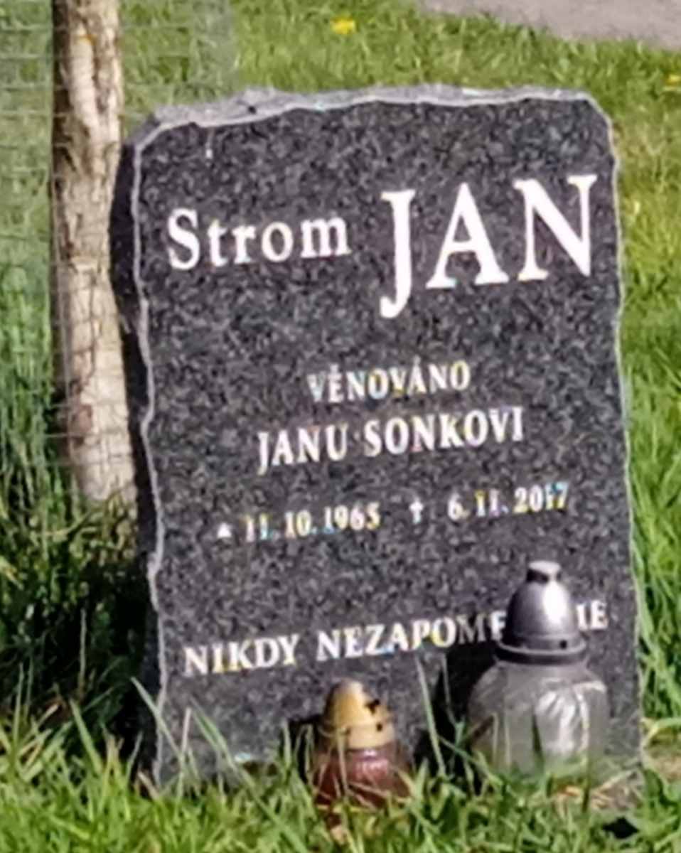 9 strom Jan 03
