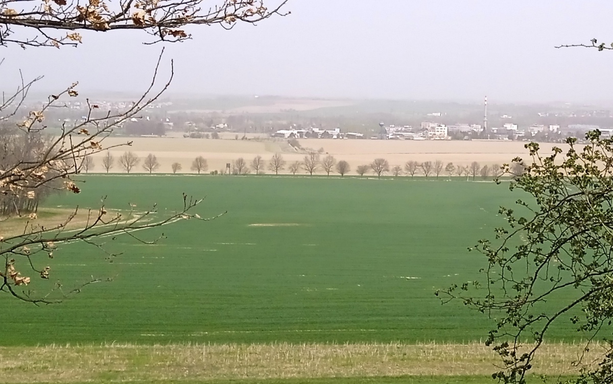 5 Opava