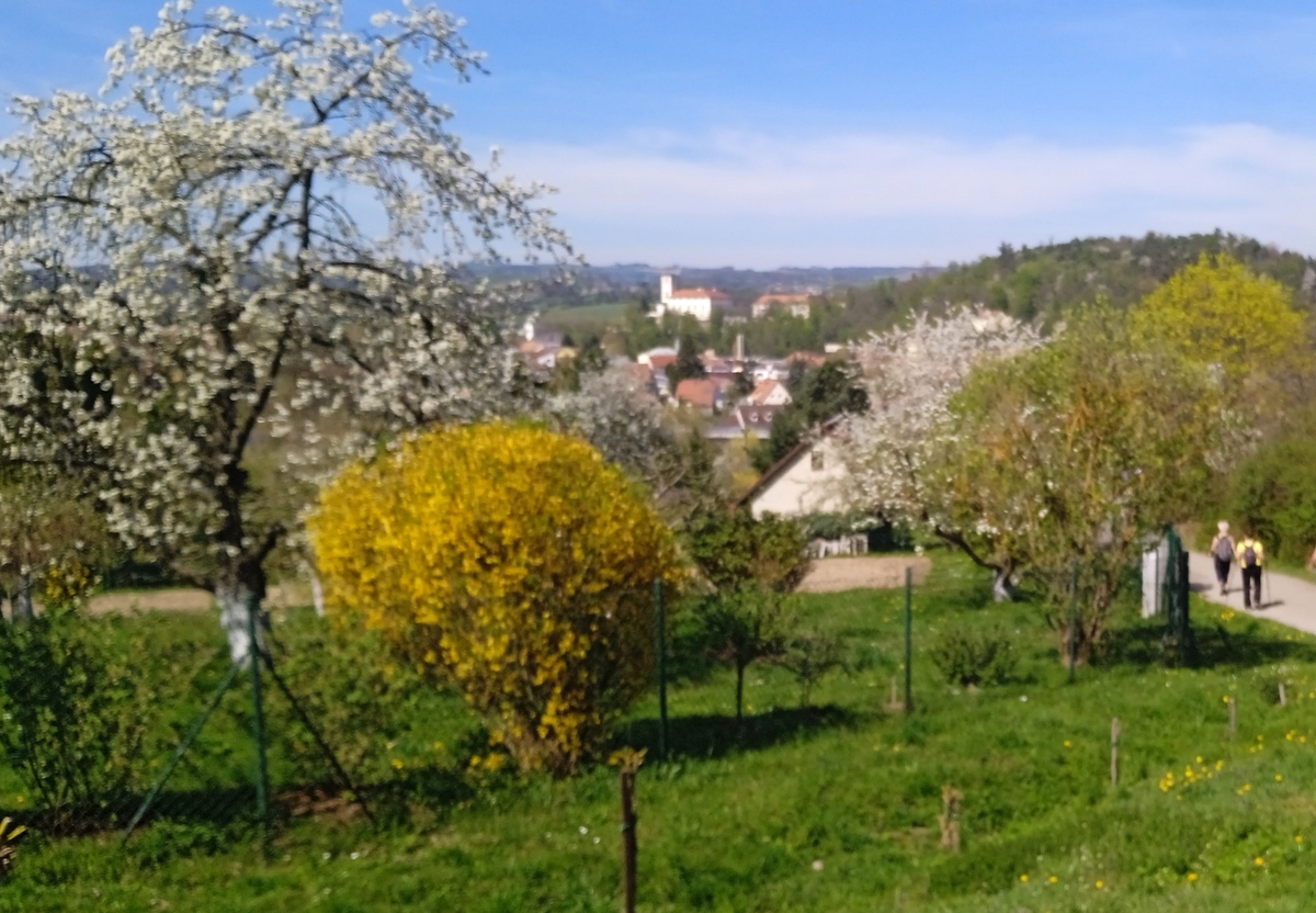 5Č.Hora  3