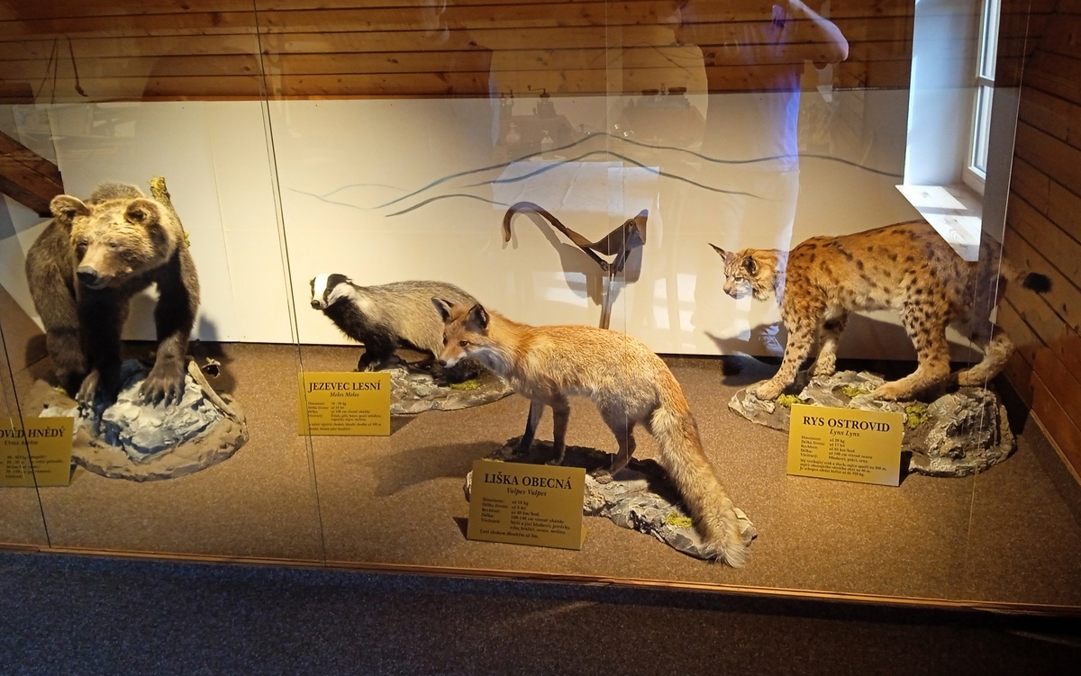 3 muzeum J.Kaluse  05