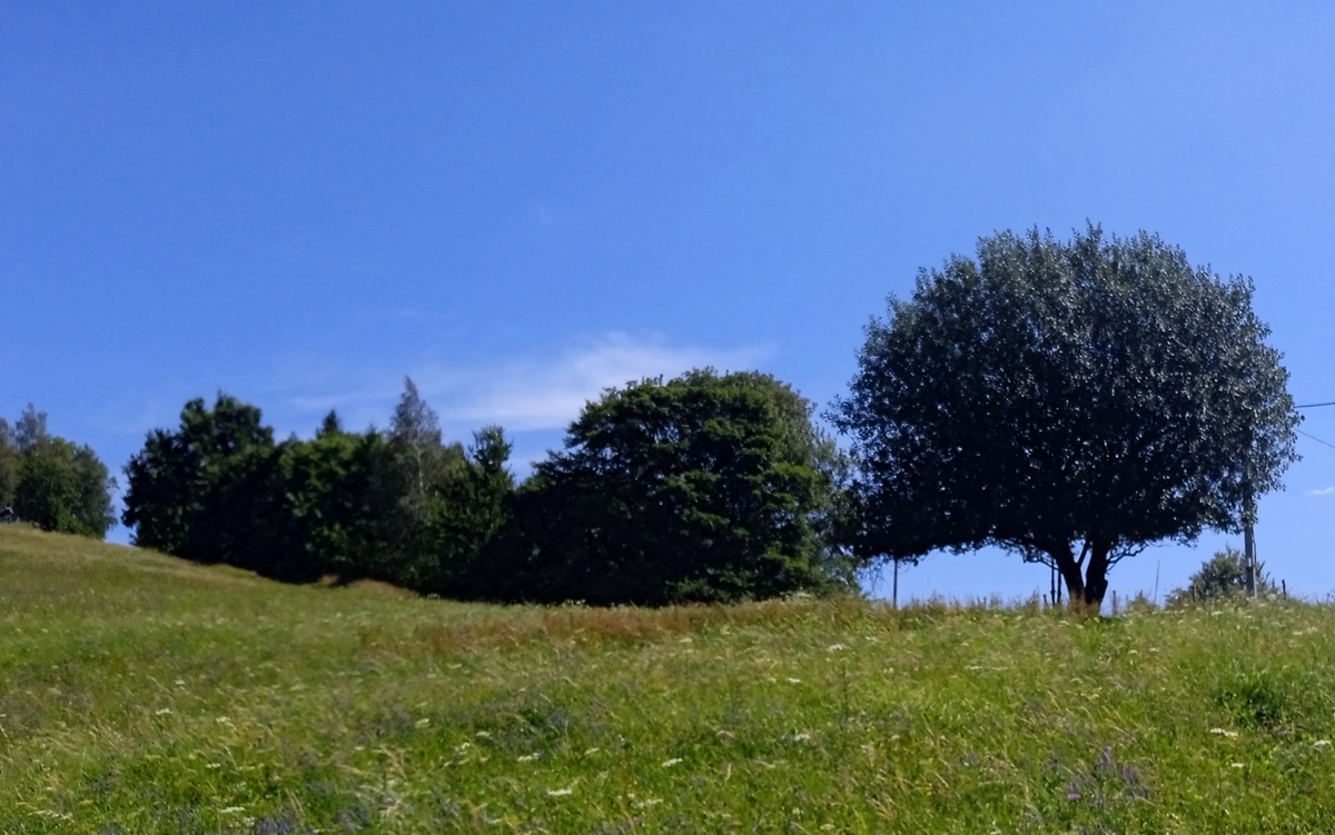 3 na Hrádek 02