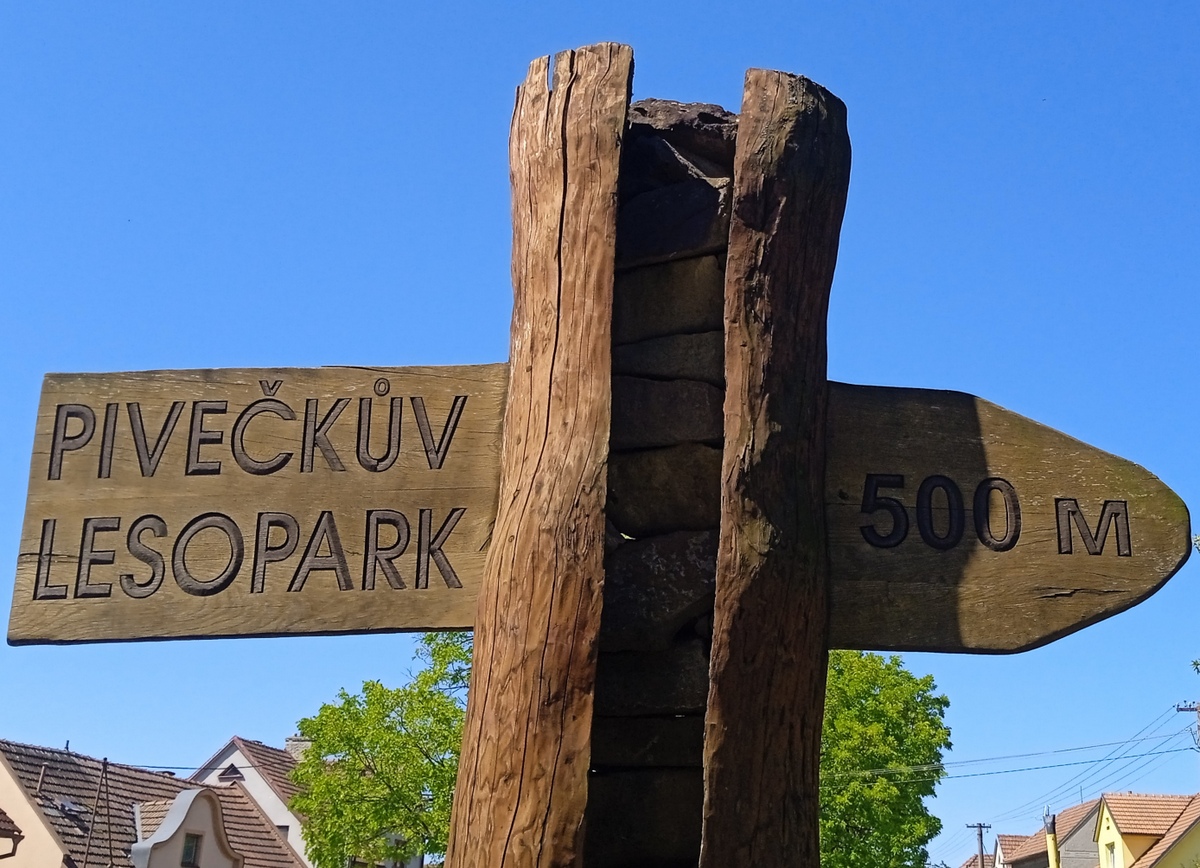 4 Pivečkův lesopark 01
