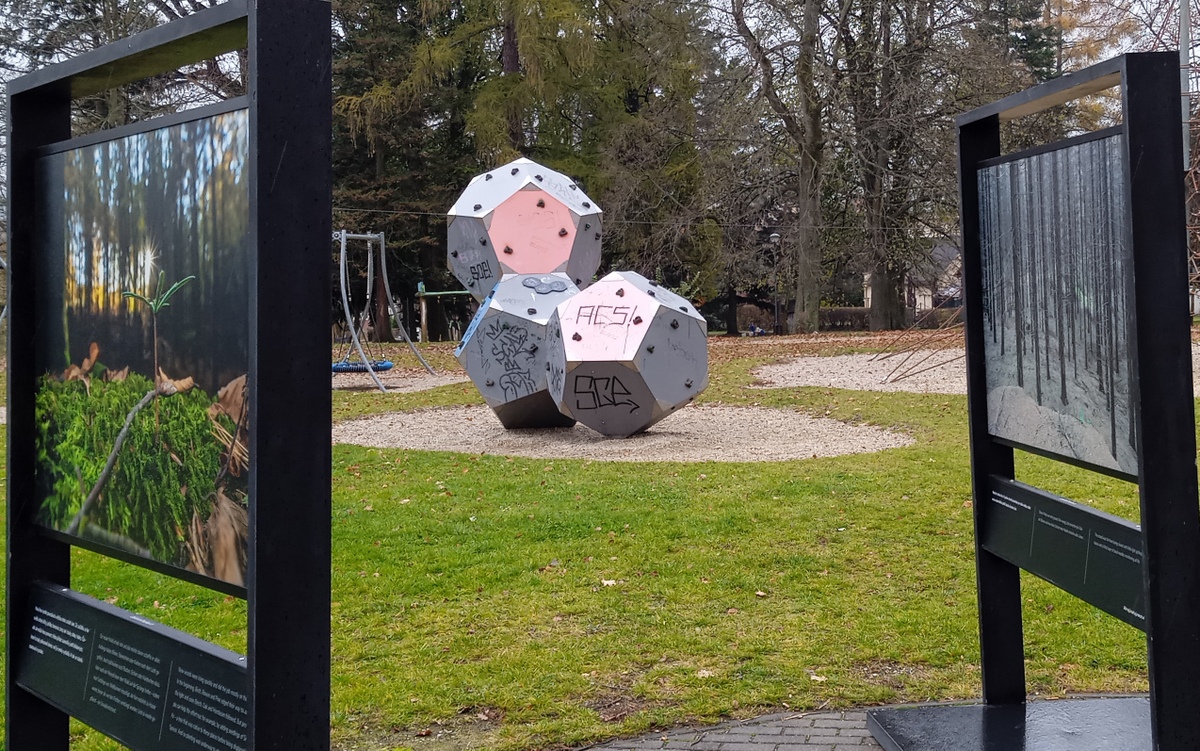 7 Varnsdorf příběh lesa 06