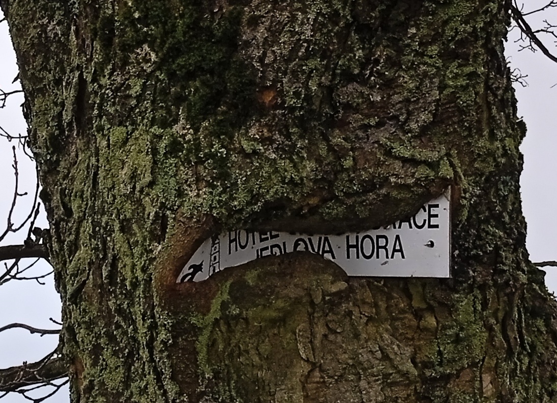 1 Jiřetín ksple 05