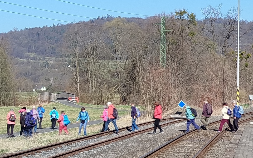 1 Heřmánky 2
