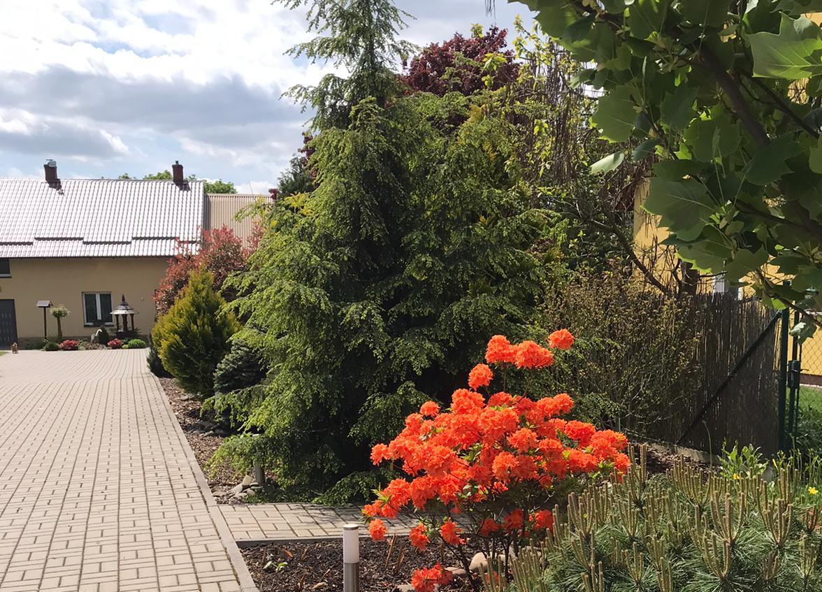 Lísikovec 10