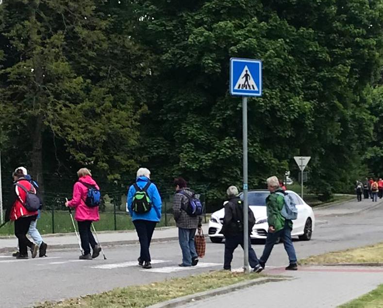 Odry smaženice 01