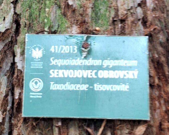 Studénka 16