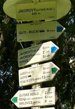 2 Javorový Guty 1
