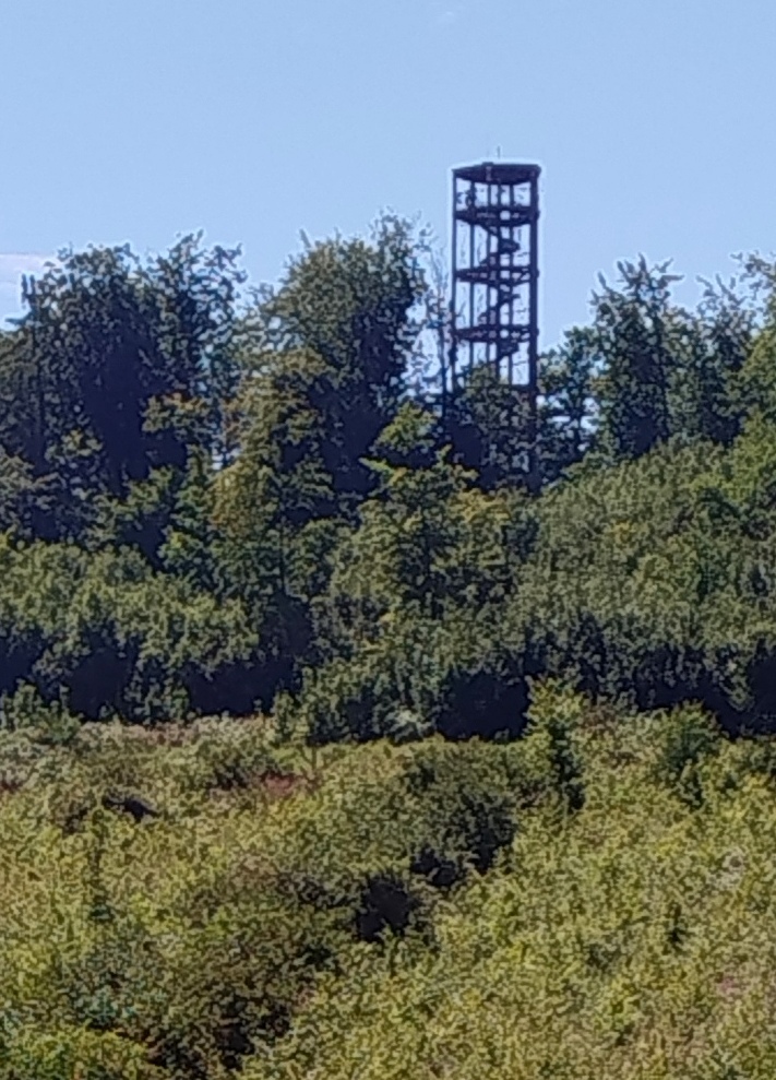 5 Dašov 02