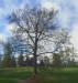 5 park 1