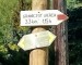 IMG_20250501_095604